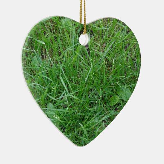 Gras Keramisch Ornament (Rechts)