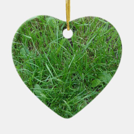 Gras Keramisch Ornament (Voorkant)