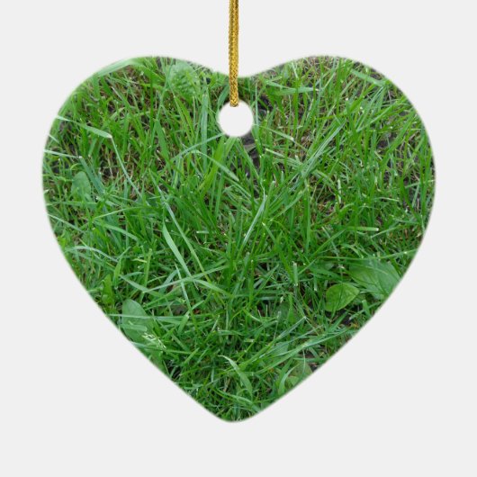 Gras Keramisch Ornament (Achterkant)