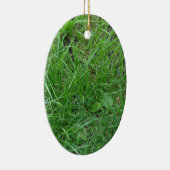 Gras Keramisch Ornament (Rechts)