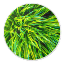 Gras Keramische Knop