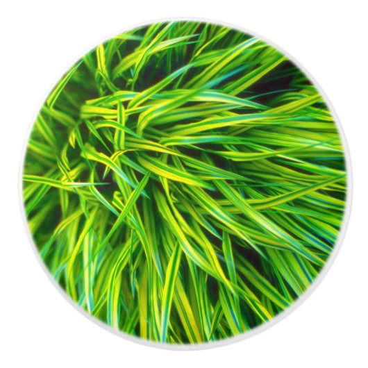 Gras Keramische Knop (Voorkant)