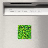 Gras Magneet (Insitu (Vaatwasser))