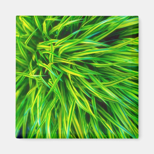Gras Magneet (Voorkant)