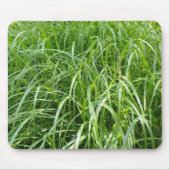 gras muismat (Voorkant)