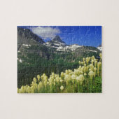 gras op Logan Pass in Glacier National Park Legpuzzel (Horizontaal)