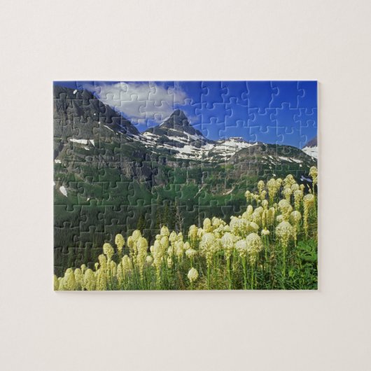 gras op Logan Pass in Glacier National Park Legpuzzel (Horizontaal)