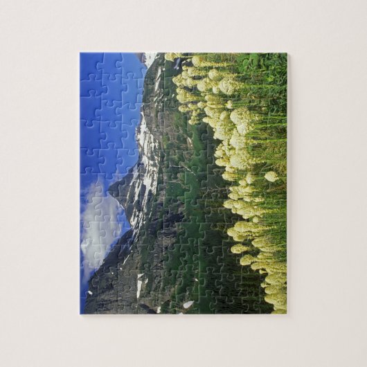 gras op Logan Pass in Glacier National Park Legpuzzel (Verticaal)