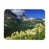 gras op Logan Pass in Glacier National Park Magneet (Horizontaal)