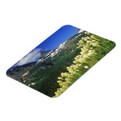 gras op Logan Pass in Glacier National Park Magneet (Linkerzijde)