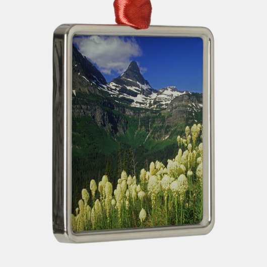 gras op Logan Pass in Glacier National Park Metalen Ornament (Rechts)