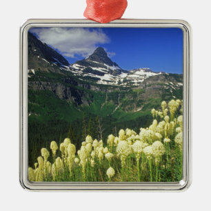 gras op Logan Pass in Glacier National Park Metalen Ornament