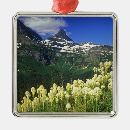 gras op Logan Pass in Glacier National Park Metalen Ornament (Voorkant)