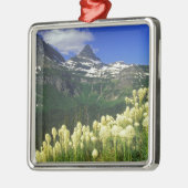 gras op Logan Pass in Glacier National Park Metalen Ornament (Links)