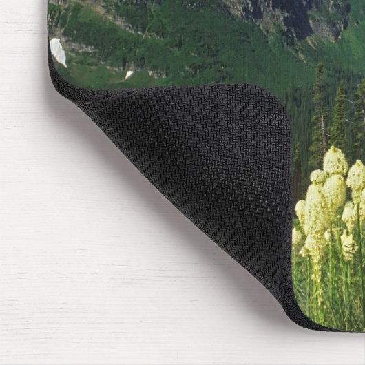 gras op Logan Pass in Glacier National Park Muismat (Hoek)