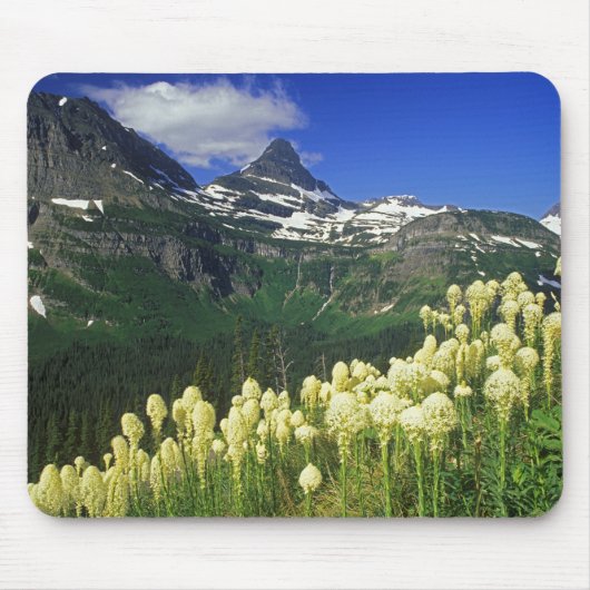 gras op Logan Pass in Glacier National Park Muismat (Voorkant)
