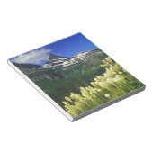 gras op Logan Pass in Glacier National Park Notitieblok (Schuin)