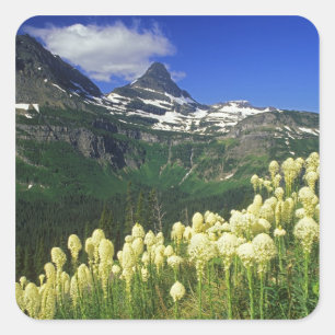 gras op Logan Pass in Glacier National Park Vierkante Sticker