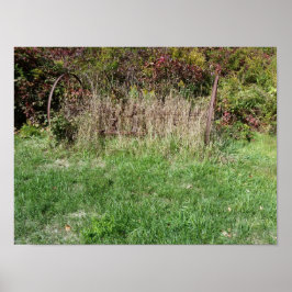 gras op paden poster