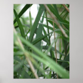 Gras Poster (Voorkant)