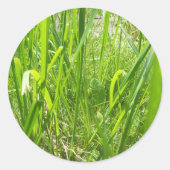 Gras Ronde Sticker (Voorkant)