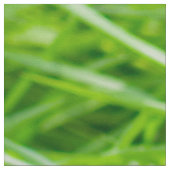 Gras Stof (Close Up)