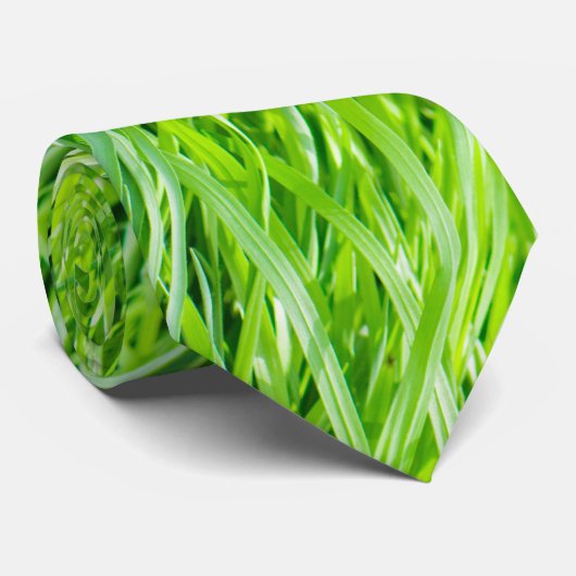 Gras Stropdas (Opgerold)