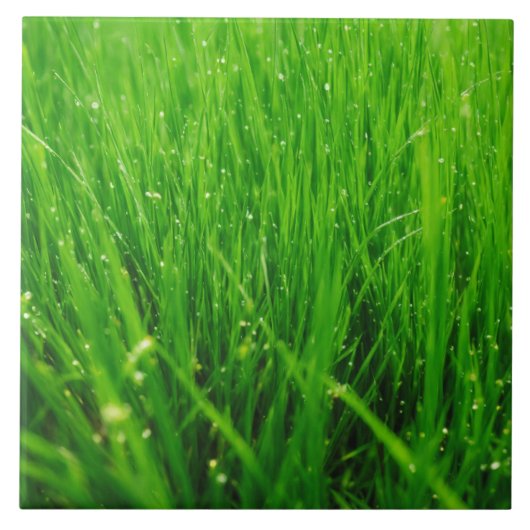 Gras Tegeltje (Voorkant)