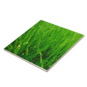 Gras Tegeltje (Zijkant)