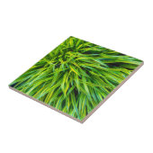 Gras Tegeltje (Zijkant)
