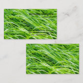 Gras Visitekaartje (Voorkant / Achterkant)