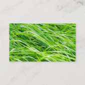 Gras Visitekaartje (Achterkant)