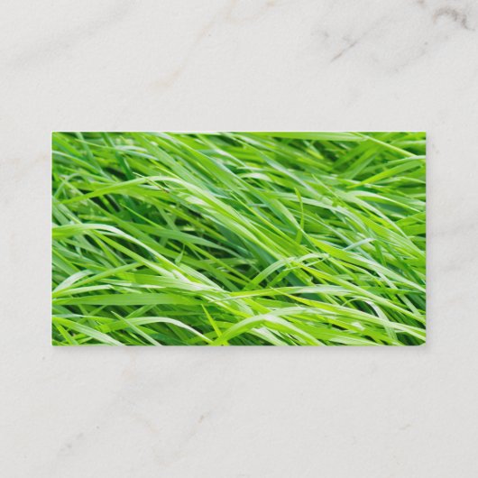Gras Visitekaartje (Achterkant)