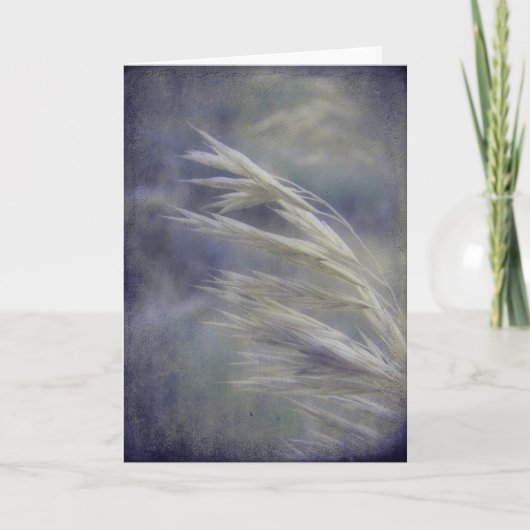 Gras Zaaigoed alle keren Kaart (Voorkant)