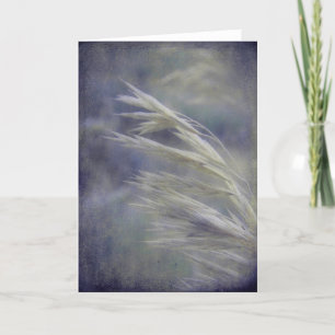 Gras Zaaigoed alle keren Kaart