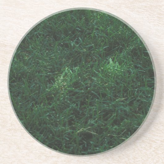 Gras Zandsteen Onderzetter (Voorkant)