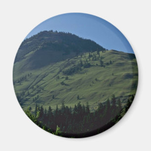 Grasachtige Hoesjes Magneet