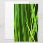 Grasblades Briefpapier (Voorkant / Achterkant)