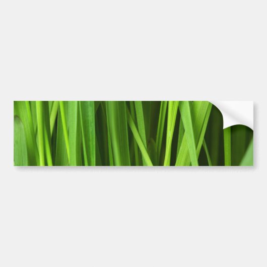Grasblades Bumpersticker (Voorkant)