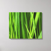 Grasblades Canvas Afdruk (Voorkant)