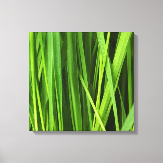 Grasblades Canvas Afdruk (Voorkant)