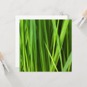 Grasblades Kaart (Voorkant / Achterkant in situ)