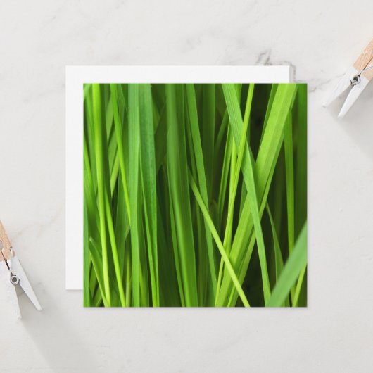 Grasblades Kaart (Voorkant / Achterkant in situ)