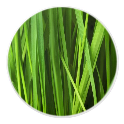 Grasblades Keramische Knop (Voorkant)