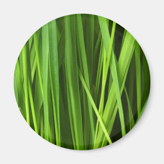 Grasblades Magneet (Voorkant)