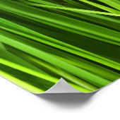 Grasblades Poster (Hoek)