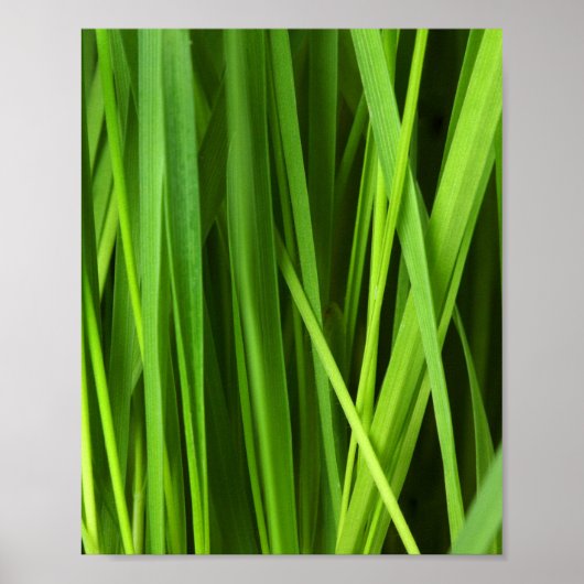 Grasblades Poster (Voorkant)