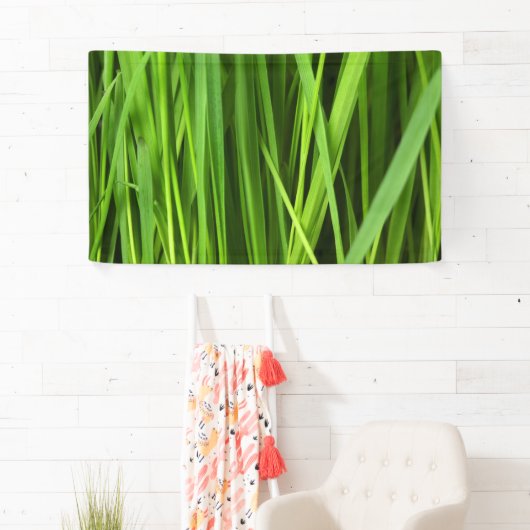 Grasblades Spandoek (Insitu)