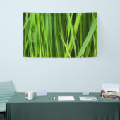 Grasblades Spandoek (Beurs)