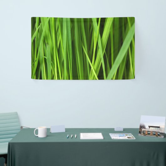 Grasblades Spandoek (Beurs)